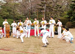 ヴァジアソン