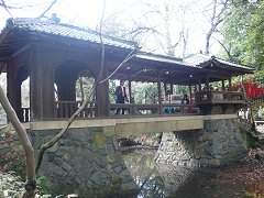 北庭園白雲橋演奏風景