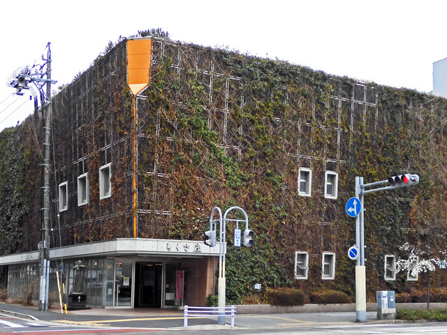 ��핶��������[��������]